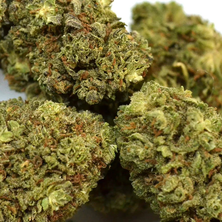 Fleur de CBD AK 47 Gorilla Punch