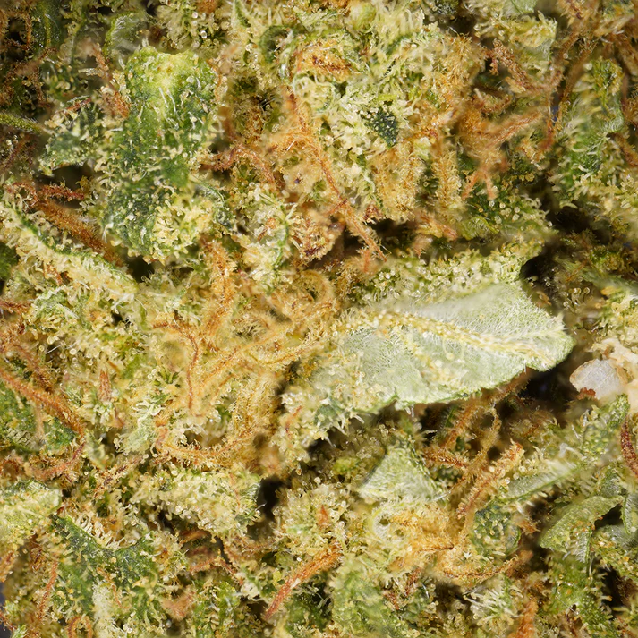 Fleur de CBD gorilla glue Gorilla Punch