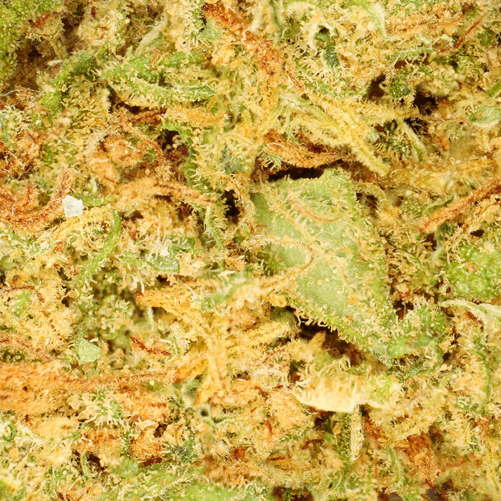 Fleur de CBD Orange Bud Gorilla Punch