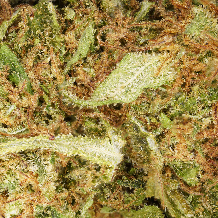 Fleur de CBD White Widow Gorilla Punch