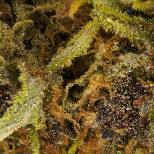 Fleur de CBD Sour Diesel Gorilla Punch 