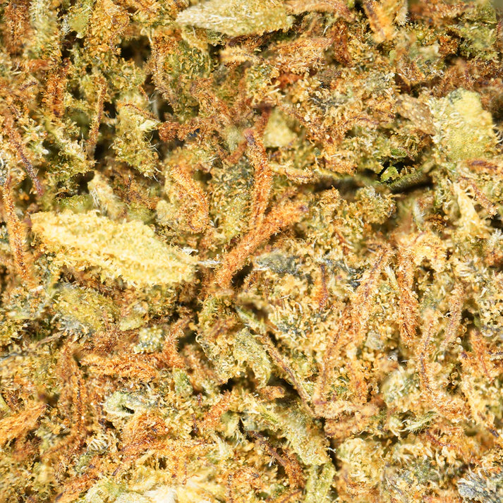 Fleur de CBD Jack herer Gorilla Punch 