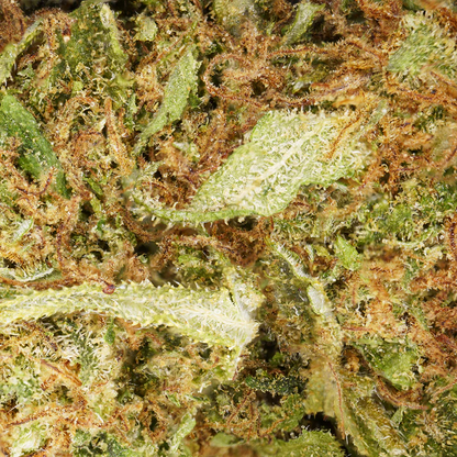 Fleur de CBD White Widow Gorilla Punch 